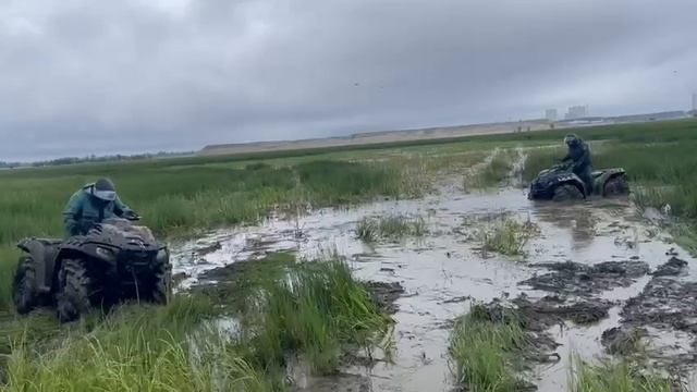 Квадрик смотреть онлайн