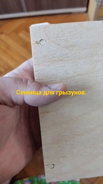 #сенница #длядегу смотреть онлайн
