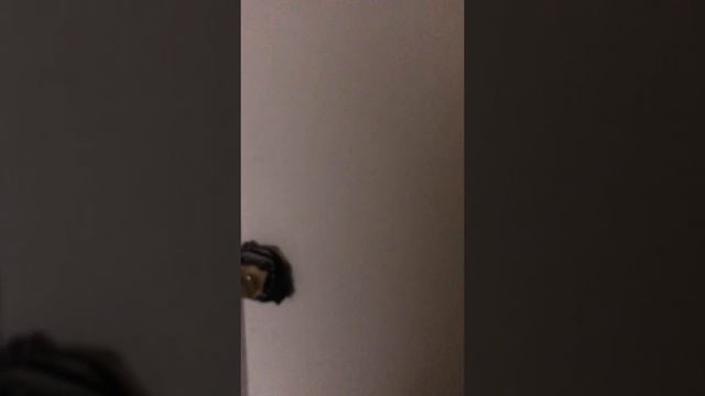 Girl screams her ass off while trying to shit (constipated) смотреть онлайн
