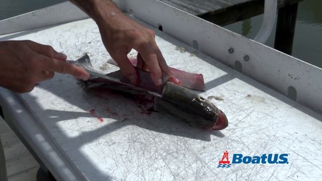 How to Fillet a Fish 2 Ways | BoatUS смотреть онлайн