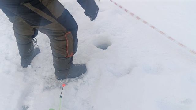 Голицыно Fish 19 февраля смотреть онлайн