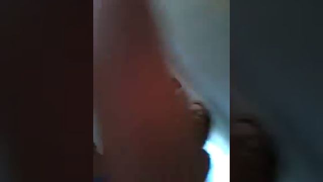 котенок на воспитании) смотреть онлайн