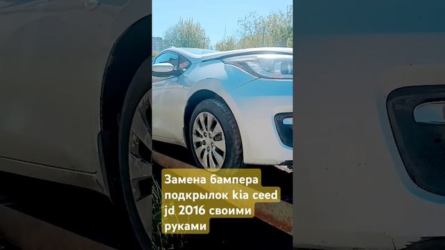 Weird Wonders Of Nature