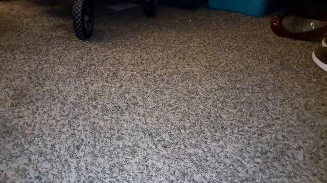 Mail! And Valentines Shopping Haul!!! Pull Up A Seat & Join Me! смотреть онлайн