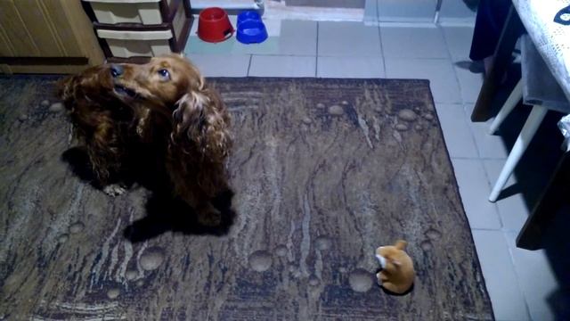 Дуэт. Собака и говорящий хомяк смотреть онлайн