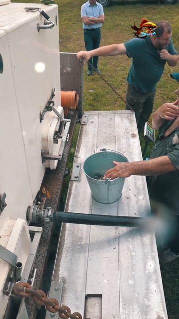 Как происходит запуск рыбы карп в водоём для рыбалки #shorts смотреть онлайн