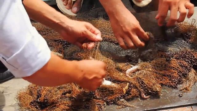 Fishing party on the Tonle Sap Lake (Siem Reap) смотреть онлайн