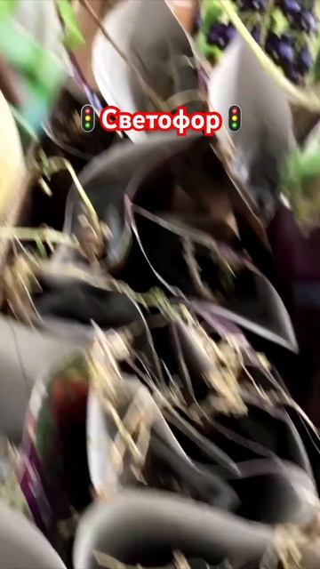 Ух Ты!🙈 Новинки для сада и огорода 😳💥 #магазинсветофор #светофоробзор #светофорновинки смотреть онлайн