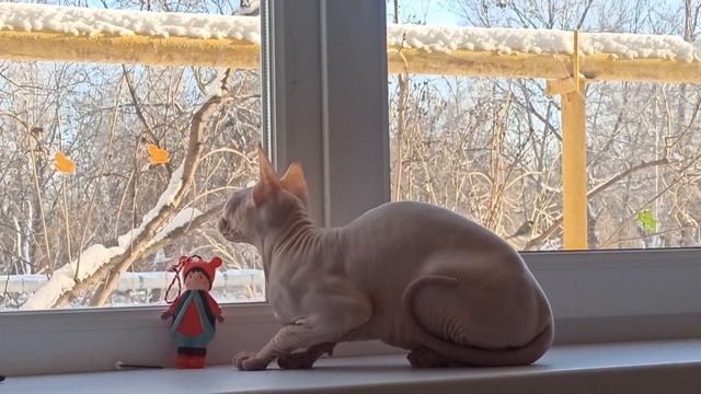 Жасмин ловит синиц смотреть онлайн