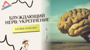 Блуждающий нерв: что это такое и зачем его тренировать?