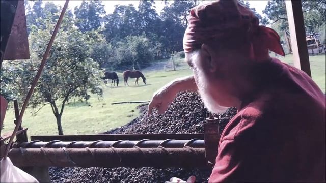 Farming is Fixing: Macadamia Nut Husker смотреть онлайн