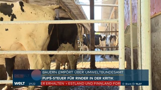 Die „Pups-Steuer“ – WELT Nachrichten смотреть онлайн