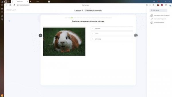 Методология Native class