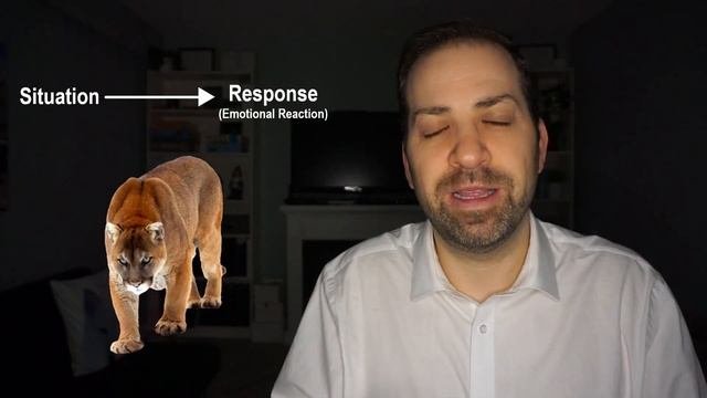 REWIRE Your BRAIN with Cognitive Therapy | Dr. Rami Nader смотреть онлайн