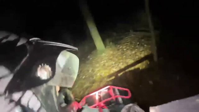 ГОРИЛЫЧ ПРОТИВ ДЕРЕВЬЕВ смотреть онлайн