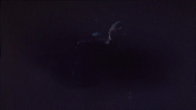 Wisin, Anuel AA, Feat, Nicky Jam - Mi exxx Remix(IA) смотреть онлайн