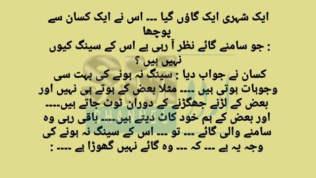 Pathan New Amazing Urdu & Hindi Jokes BY SM Urdu TV смотреть онлайн