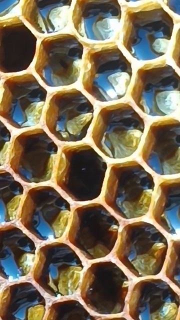 böyle aynalar görülmedi 🙀 смотреть онлайн