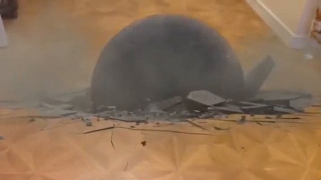 Смерть тапку! смотреть онлайн