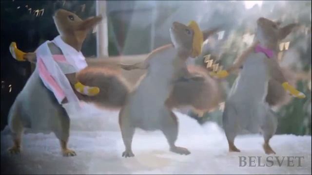 БУРУНДУКИ ЗАЖИГАЮТ ПОЗИТИВ! смотреть онлайн