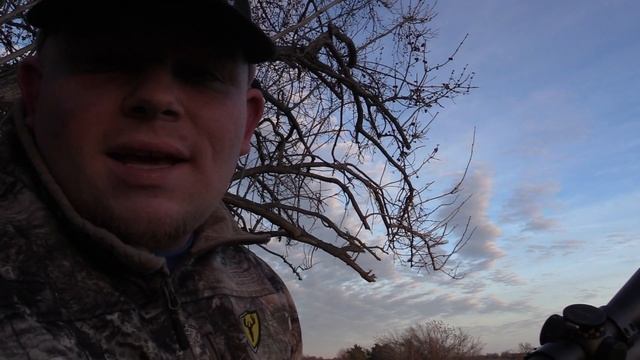 COYOTE HUNTING CATTLE COUNTRY!! (Kentucky Coyote Hunting) смотреть онлайн