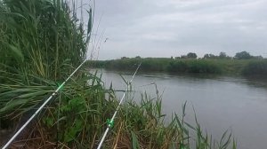 Рыбалка на сазана  х Лебеди Краснодарский край