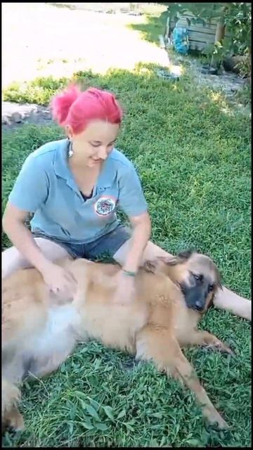 НАТС на расслабоне😁 смотреть онлайн