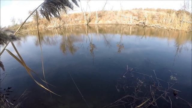 рыболовные приключения 50 смотреть онлайн