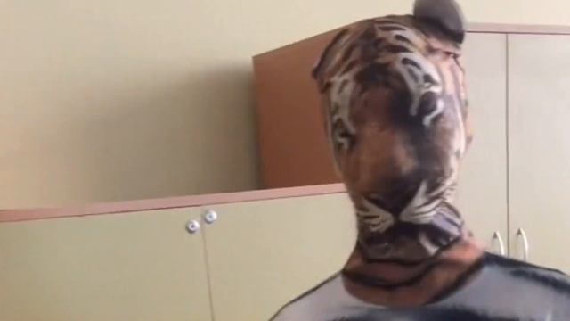 ЧЕ ЗА ТИГР ЭТОТ ЛЕВ смотреть онлайн