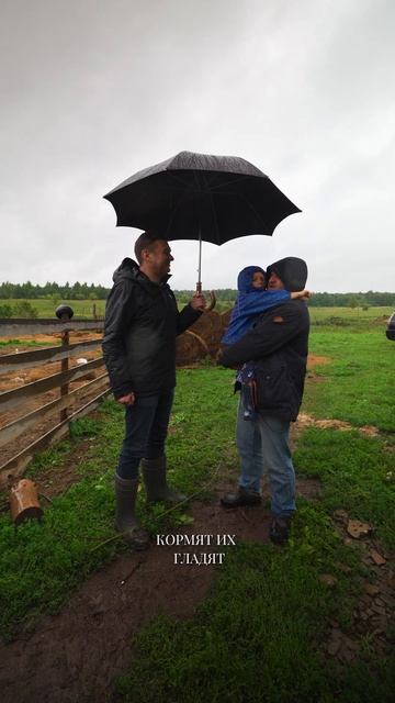 Отдых в ДЕРЕВНЕ vs Отдых в ГОРОДЕ - что лучше? смотреть онлайн