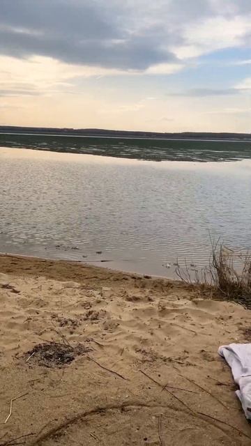 #music #челябинск #челябинсксегодня #интересно #нудист #пляж #шершни #travel #тренд #постой #россия смотреть онлайн