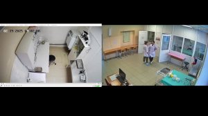 Чемпионат 2025 ПАПТ Ветеринария_190225