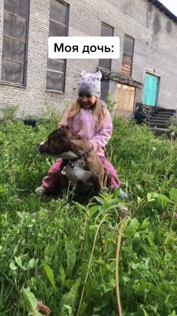 #pitbull #питбультерьер #puppy #щенки #ребенок#ребенокисобака смотреть онлайн