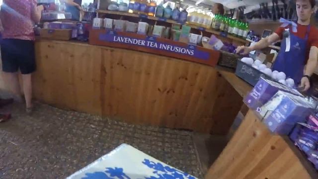 Лавандовое поле | Mayfields Lavander Fields | Lavandas lauki Mayfields London смотреть онлайн