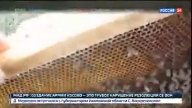 Сладкий обман: что нам продают под видом мёда? смотреть онлайн
