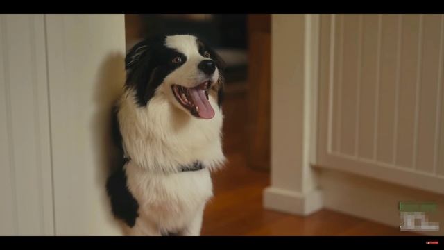 Куриные медальоны рецепт с ветчиной и сыром смотреть онлайн