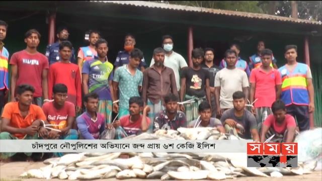 চাঁদপুরে বিপুল পরিমাণ ইলিশ উদ্ধার | Ilish | Chandpur News | Somoy TV смотреть онлайн
