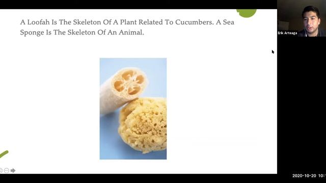 Chapter 17 Frontiers in Biology смотреть онлайн
