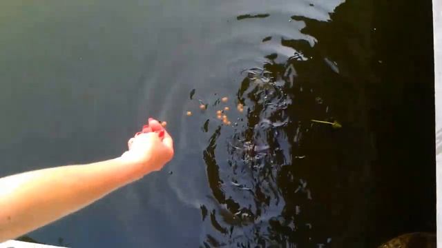 Сомы отаке! смотреть онлайн