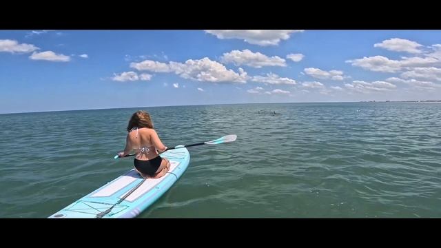 SUP with Dolphin’s at Hanna park смотреть онлайн