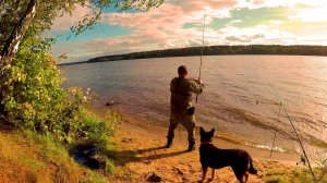 Ноябрьская рыбалка на хищника. Еще одно новое место. Двое суток на Реке с Калугой и Больничкой.