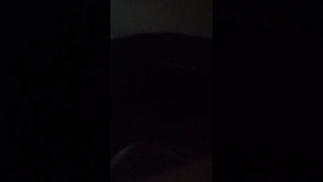 запуск леопарда смотреть онлайн