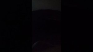 запуск леопарда