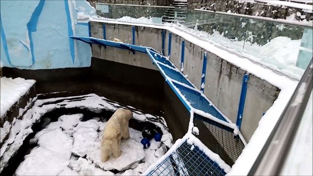 Каю очень хочется поиграть с канистрой, но её нет 11.12.2021 смотреть онлайн