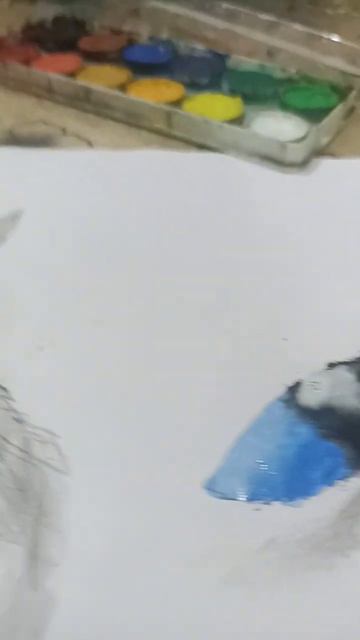 Cat eye drawing смотреть онлайн