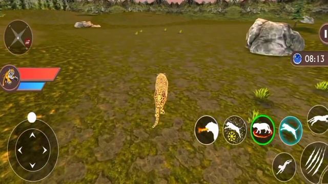 Virtual Tiger Family Simulator gameplay android mobile смотреть онлайн