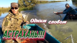 Супер поездка в Астрахань на турбазу Волчок!!!
Рыбалка в Астрахани ловим судака окуня щуку жереха