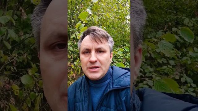 Разница между просветлением и пробуждением. Очень важный вопрос смотреть онлайн