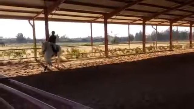 Kath GP смотреть онлайн