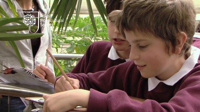 Royal Horticultural Society смотреть онлайн